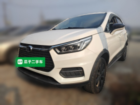 比亚迪 元新能源 2019款 EV535 智联领潮型