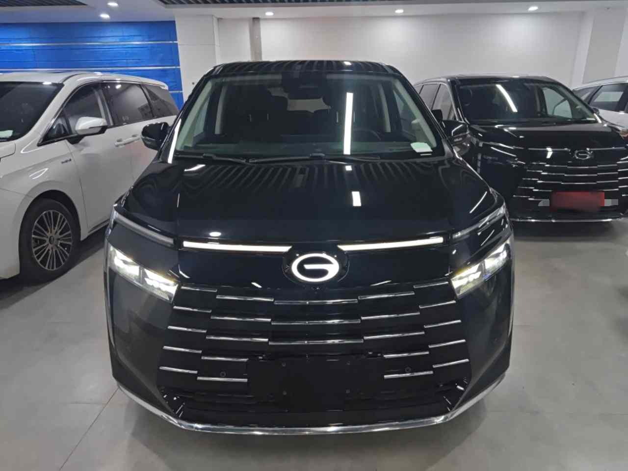 广汽传祺 传祺E8新能源 2024款 150km MAX+(1)