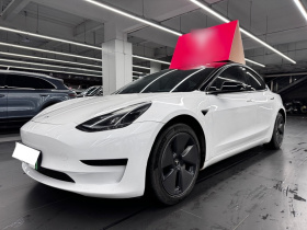 特斯拉 Model 3 2022款 后轮驱动版