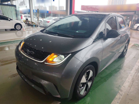 比亚迪 海豚 2023款 420km 时尚版