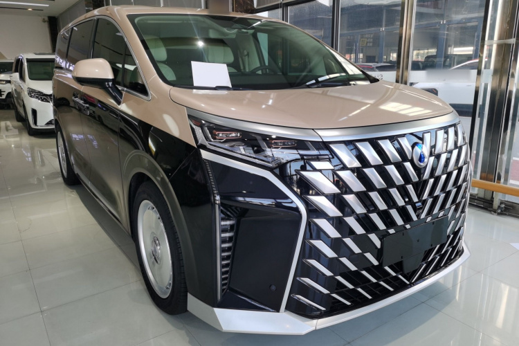 腾势D9 2024款 DM-i 980 四驱尊荣型车身外观3