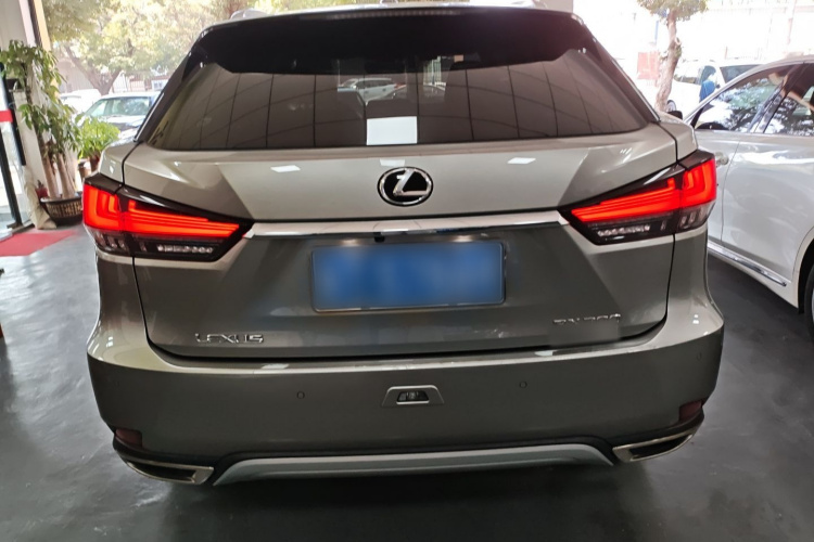 雷克萨斯RX 2020款 改款 300 四驱典雅版车身外观6