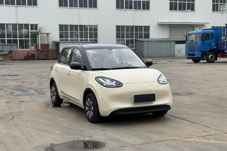 五菱汽车 五菱缤果 2025款 333km 灵犀互联款车身外观6001