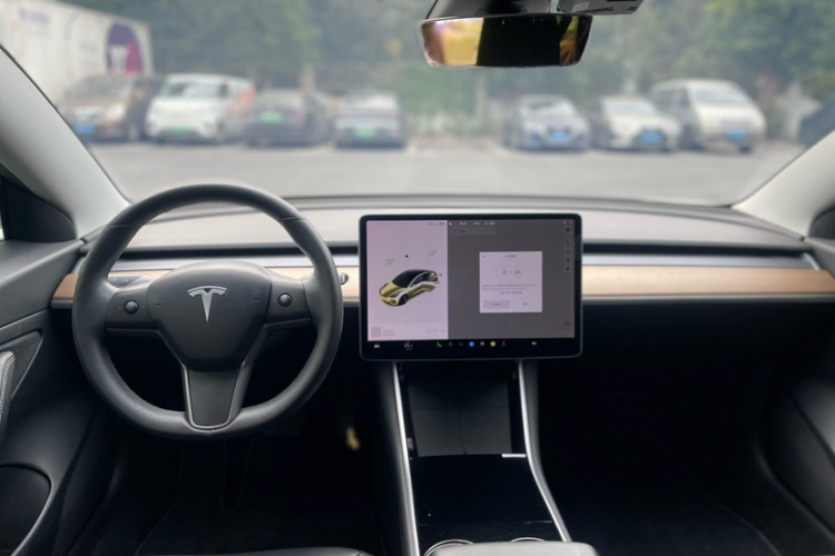 特斯拉 Model 3 2020款 改款 长续航后轮驱动版中控内饰7001