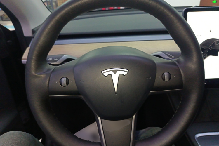 特斯拉 Model Y 2021款 标准续航后驱版局部细节13