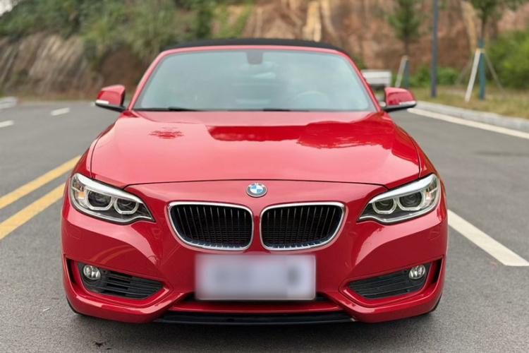 宝马2系(进口) 2015款 218i 敞篷轿跑车车身外观6003