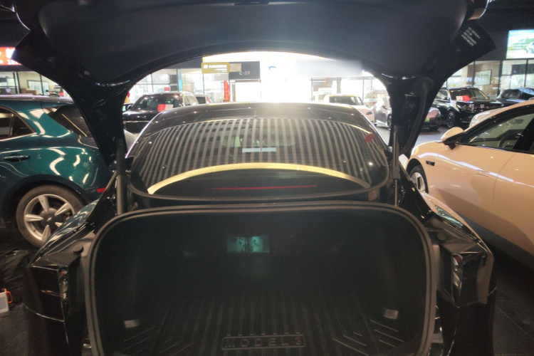 特斯拉 Model 3 2021款 标准续航后驱升级版 3D6机舱底盘23