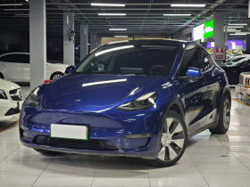 特斯拉 Model Y 2021款 标准续航后驱版