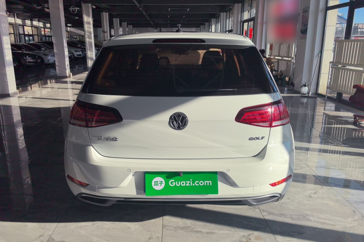 大众 高尔夫 2019款 1.6L 自动舒适型 国V车身外观6004