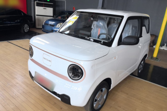 吉利银河 2024款 熊猫mini 200km 耐力熊