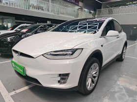 特斯拉 Model X 2019款 长续航版