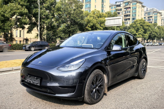 特斯拉 Model Y 2024款 后轮驱动版