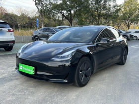 特斯拉 Model 3 2020款 标准续航后驱升级版