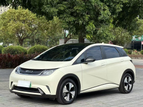 比亚迪 海豚 2023款 420km 时尚版