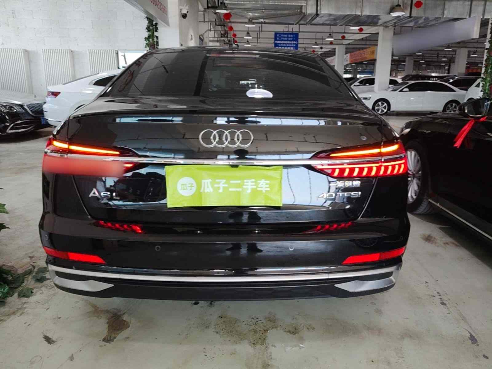 奥迪A6L 2023款 改款 40 TFSI 豪华动感型(3)
