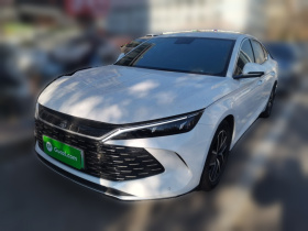 比亚迪 秦L 2024款 DM-i 80KM超越型