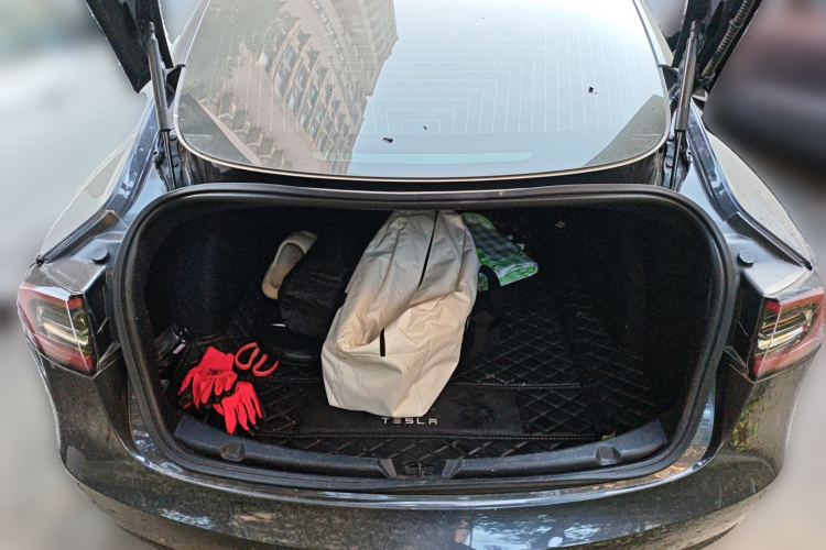 特斯拉 Model 3 2020款 标准续航后驱升级版局部细节23