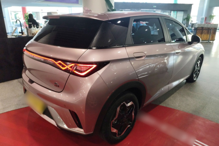 比亚迪 海豚 2021款 405km 时尚版车身外观7