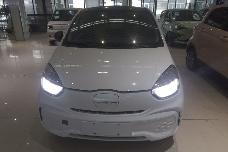 荣威 科莱威CLEVER 2021款 302km卓越版车身外观2