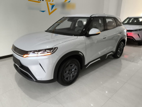 比亚迪 元UP 2025款 301KM 领航型