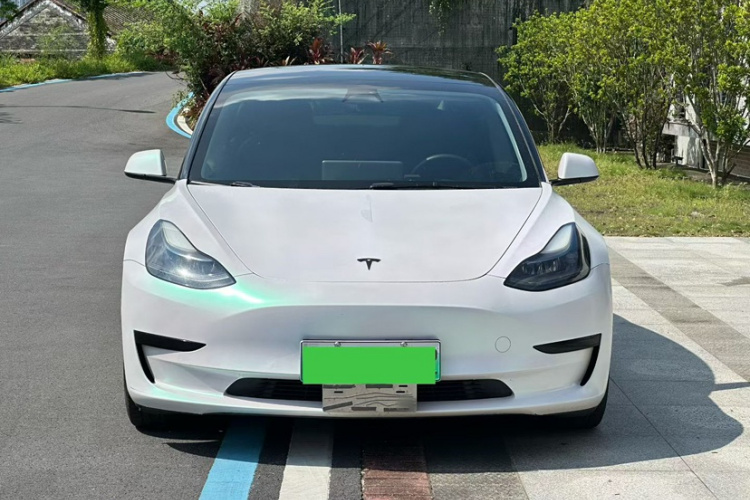 特斯拉 Model 3 2021款 标准续航后驱升级版 3D6车身外观6004