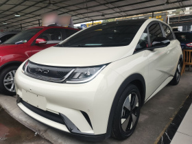 比亚迪 海豚 2023款 420km 时尚版