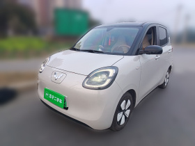 五菱汽车 宏光MINIEV 2025款 四门版 臻享+款