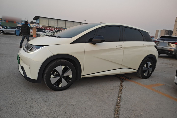 比亚迪 海豚 2023款 420km 时尚版车身外观4