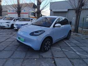 五菱汽车 五菱缤果 2023款 410km 灵犀尊享款