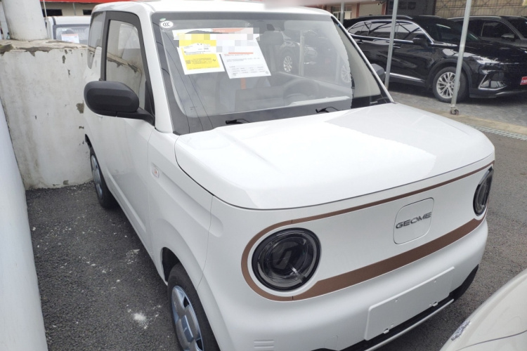 吉利银河 2024款 熊猫mini 200km 耐力熊车身外观6002