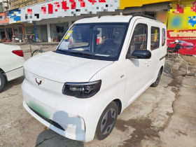 五菱汽车 五菱之光新能源 2025款 305km 进取型