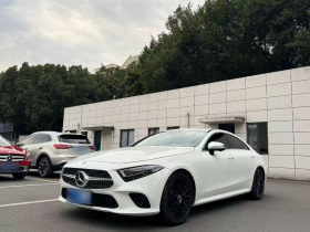 奔驰CLS 2018款 CLS 300 动感型