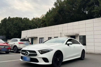 奔驰CLS 2018款 CLS 300 动感型