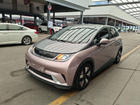 比亚迪 海豚 2021款 401km 骑士版