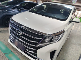 广汽传祺 传祺M8 2021款 领秀系列 390T 尊享版