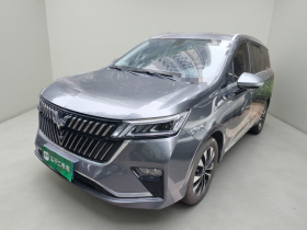 五菱汽车 五菱佳辰 2023款 2.0L DHT旗舰型