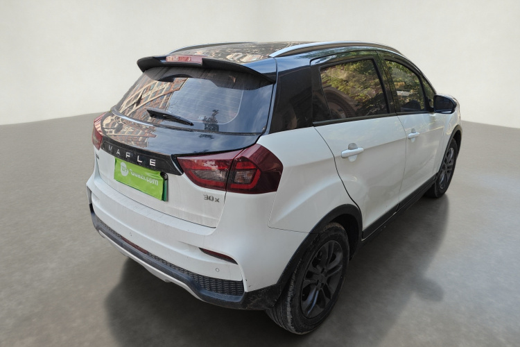 睿蓝汽车 枫叶30X 2020款 智行版车身外观7