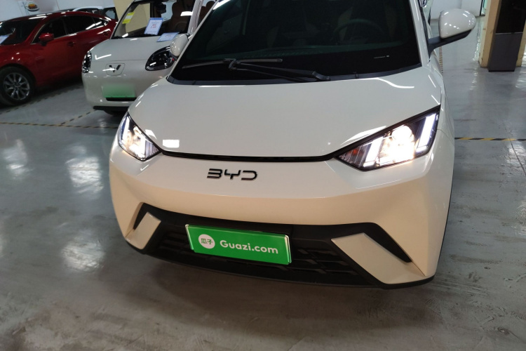 比亚迪 海鸥 2024款 荣耀版 305km 活力版车身外观2