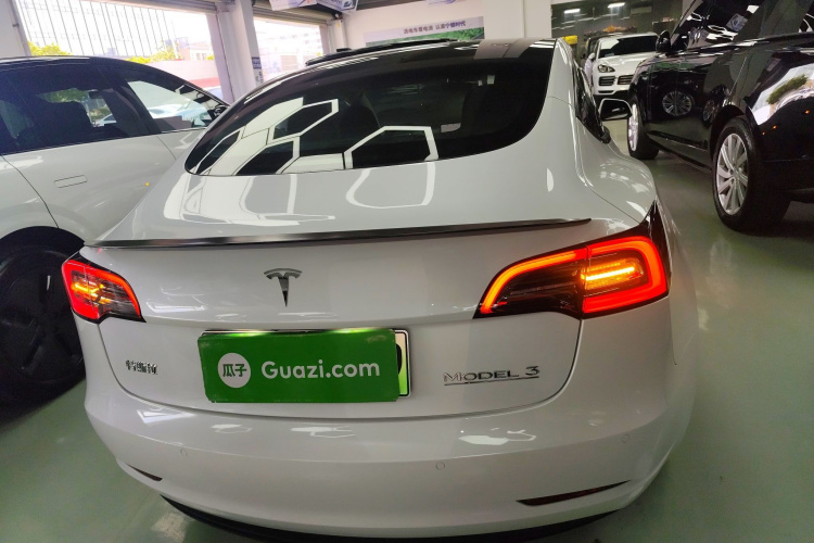 特斯拉 Model 3 2021款 Performance高性能全轮驱动版车身外观6004