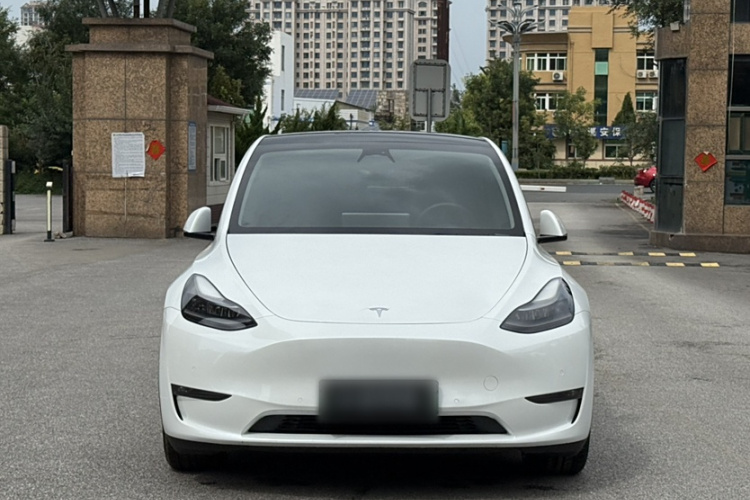特斯拉 Model Y 2021款 长续航全轮驱动版 3D7车身外观6001