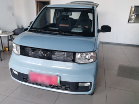 五菱汽车 宏光MINIEV 2020款 自在款 三元锂