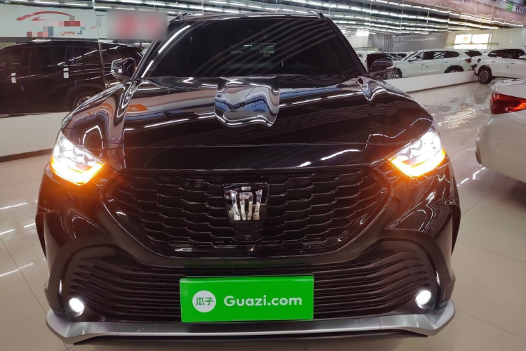 丰田 皇冠陆放 2024款 2.5L HEV四驱豪华版车身外观6001