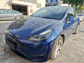 特斯拉 Model Y 2021款 长续航全轮驱动版