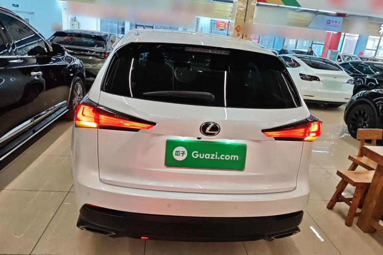 雷克萨斯NX 2017款 300 前驱 锋行版车身外观6