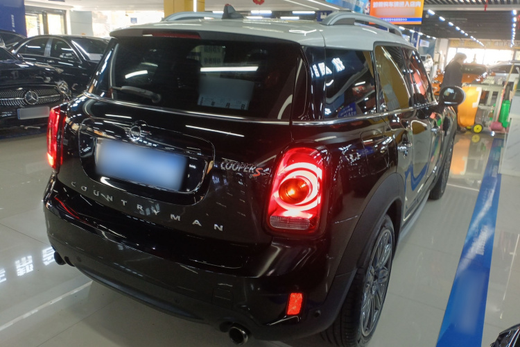 MINI Countryman 2018款 2.0T COOPER S ALL4 艺术家车身外观6005
