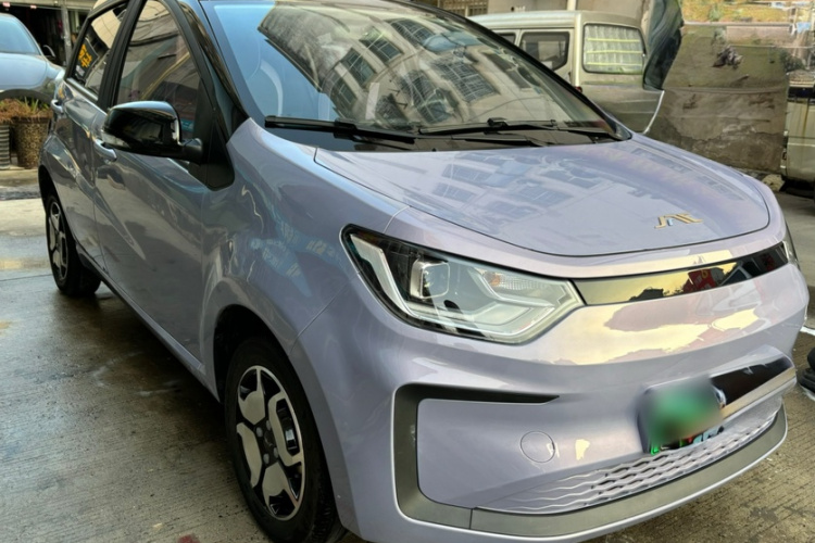 江淮钇为 钇为花仙子 2024款 挚爱版 301km Lite车身外观6009