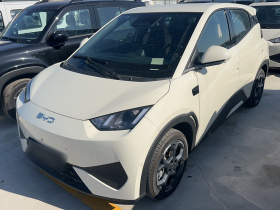 比亚迪 海鸥 2025款 智驾版 305km 自由版