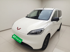 五菱汽车 五菱宏光新能源 2024款 纯电版 300KM 实用型