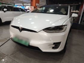 特斯拉 Model X 2019款 长续航版