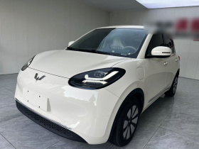 五菱汽车 五菱缤果 2025款 333km 悦享款